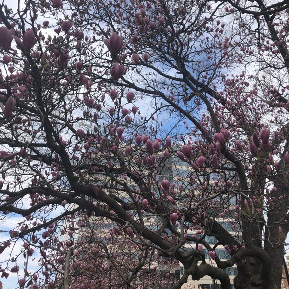 ...Faith Opened... - Picture 2 of 2